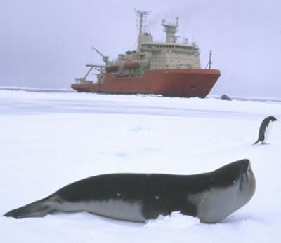 US Icebreaker N.B. Palmer