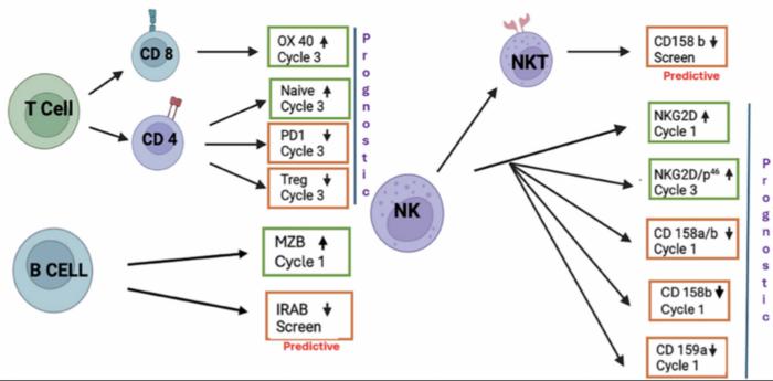 Pomalidomide improved immune profiles in myeloma