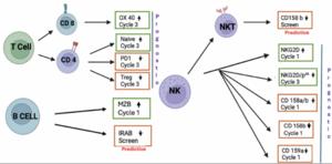 Pomalidomide improved immune profiles in myeloma