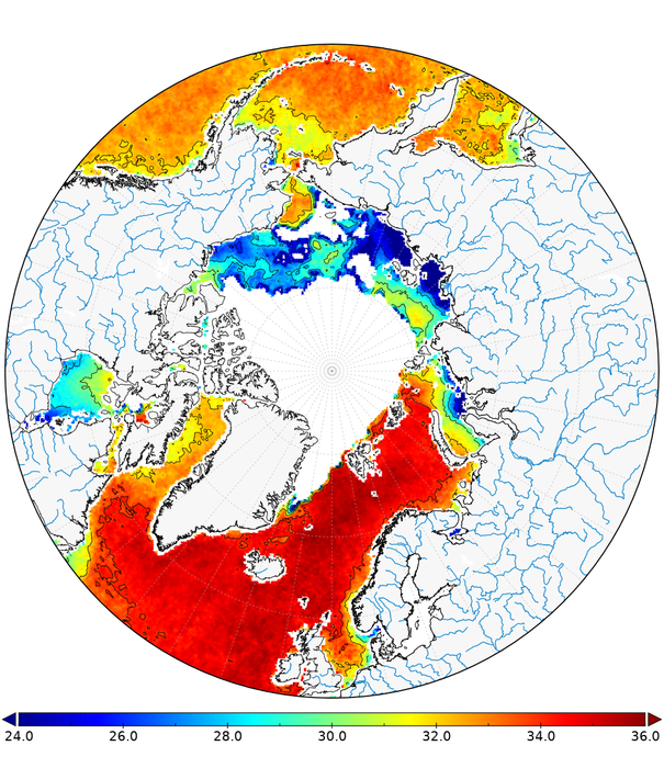 Arctic salinity map for the period from 11 to 19 August 2012 / ICM-CSIC.