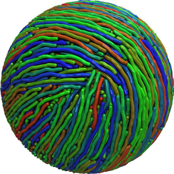 Quadripolar Tennis Ball Structure
