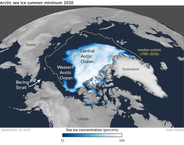 Arctic Sea Ice 2020
