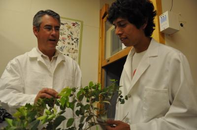Louis Santiago and Fortino Morales, University of California - Riverside