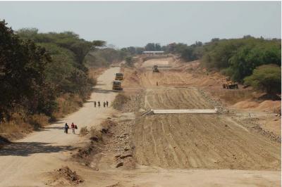 Environmental Destruction from Road Construction