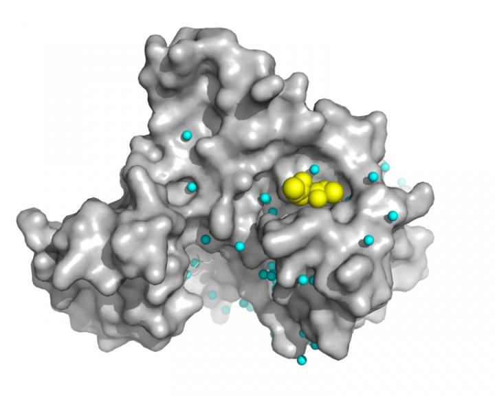 Structural Representation of the Crystal Structure of the  Protein Kinase Rsk2 in Complex
