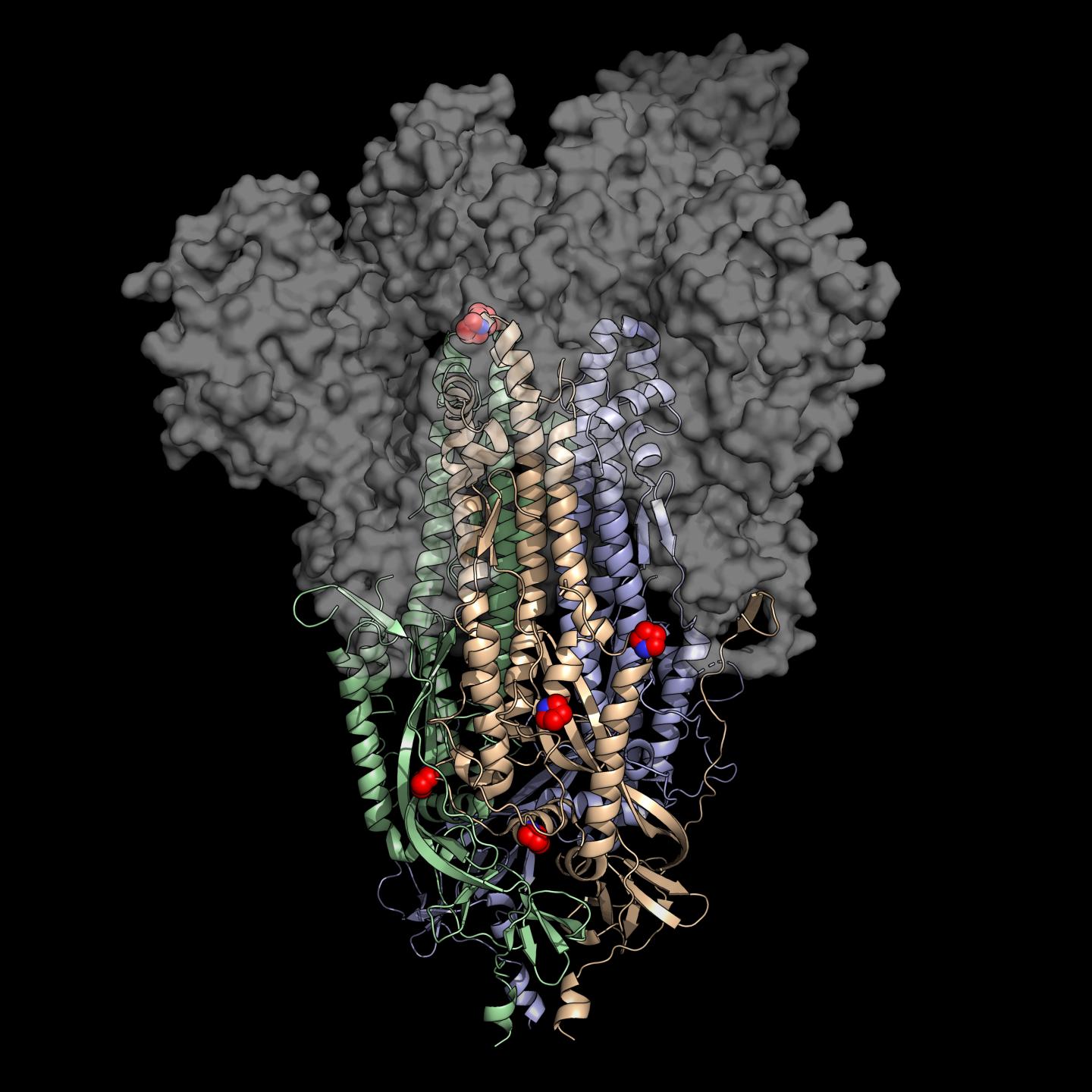 HexaPro Structure Indicating Modifications