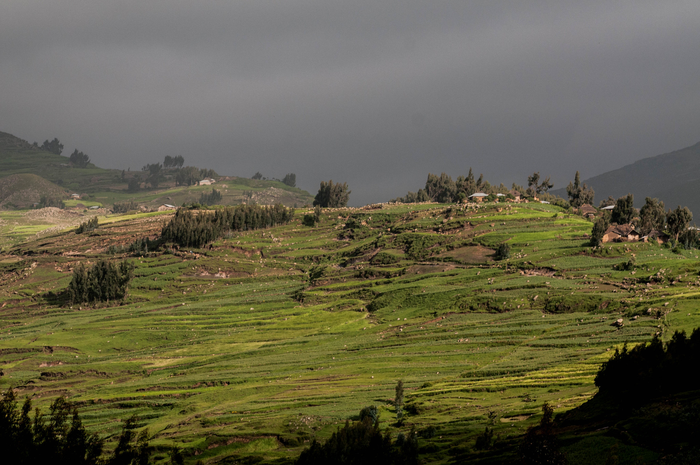 Central Ethiopia restoration site
