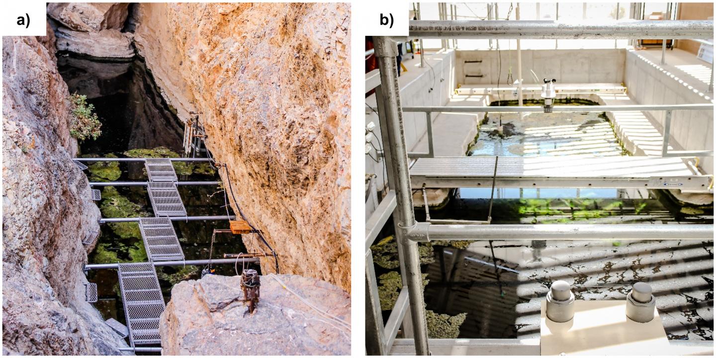 Devils Hole and Ash Meadows Fish Conservation Facility