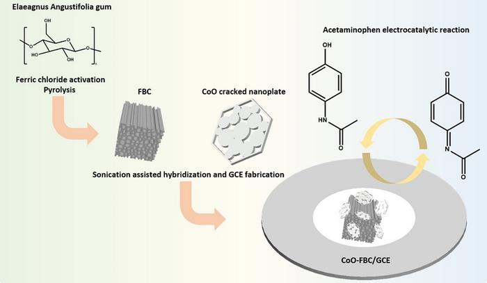 Synthesis of CoO-FBC/GCE