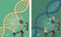Artist's concept of launching the cellular DNA-damage response by the ATR-ATRIP complex