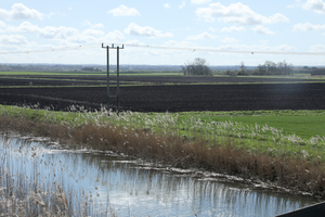 Black Fen soil