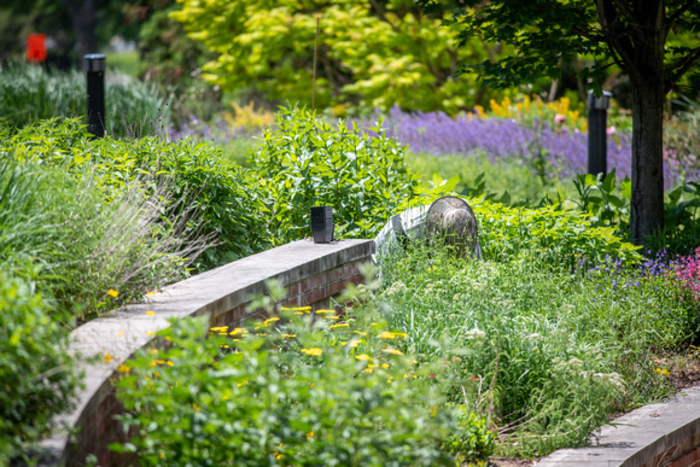 Green Infrastructure in an Urban Setting