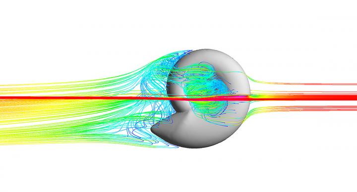 Example Image of How Water Flow Shapes Itself around One of Our Ammonoid Models