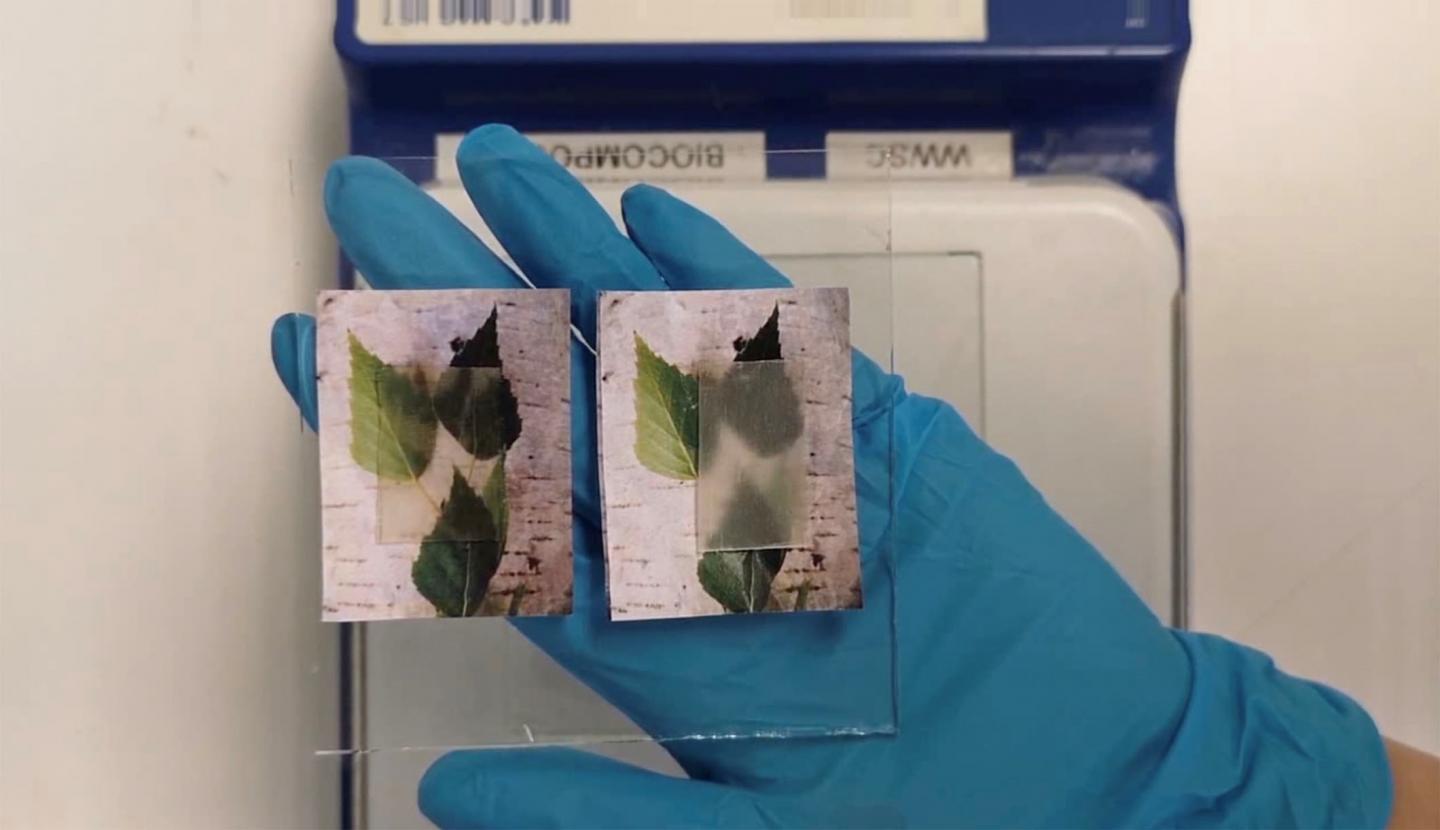 Transparent Wood Can Store and Release Heat