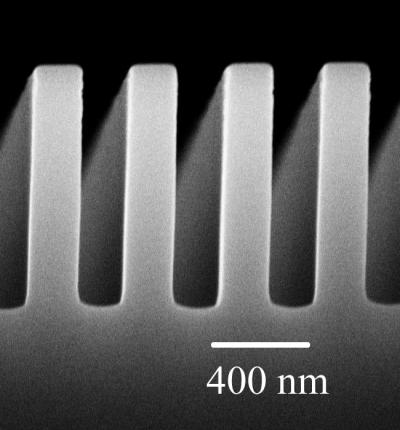 Scanning Electron Micrograph