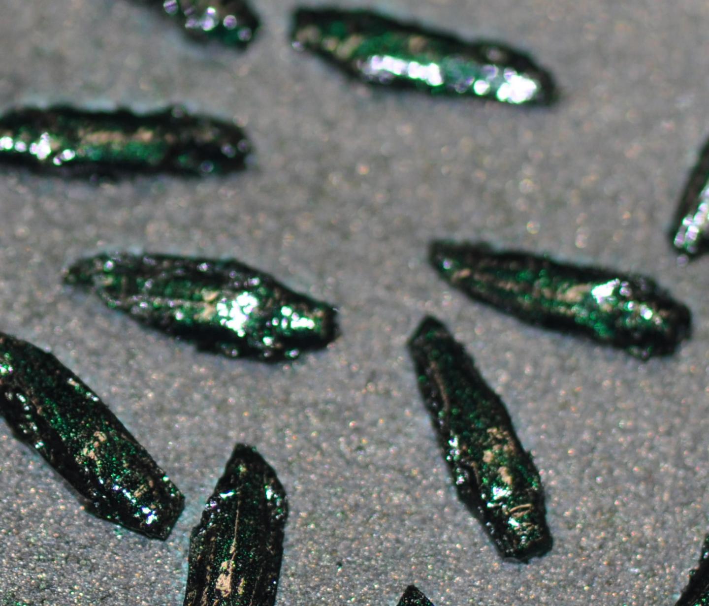 Emerald Ash Borer Decoys