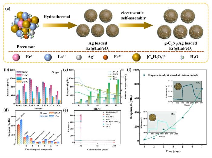 g-C3N4 nanosheets incorporated Ag loaded Er0.05La0.95FeO3 heterojunctions for efficient isoamyl alcohol detection