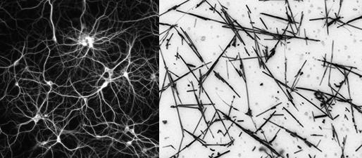 Neural network and nanowire network