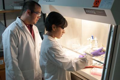 Researchers Fabricate Mitochondria-Targeting Nanoparticles