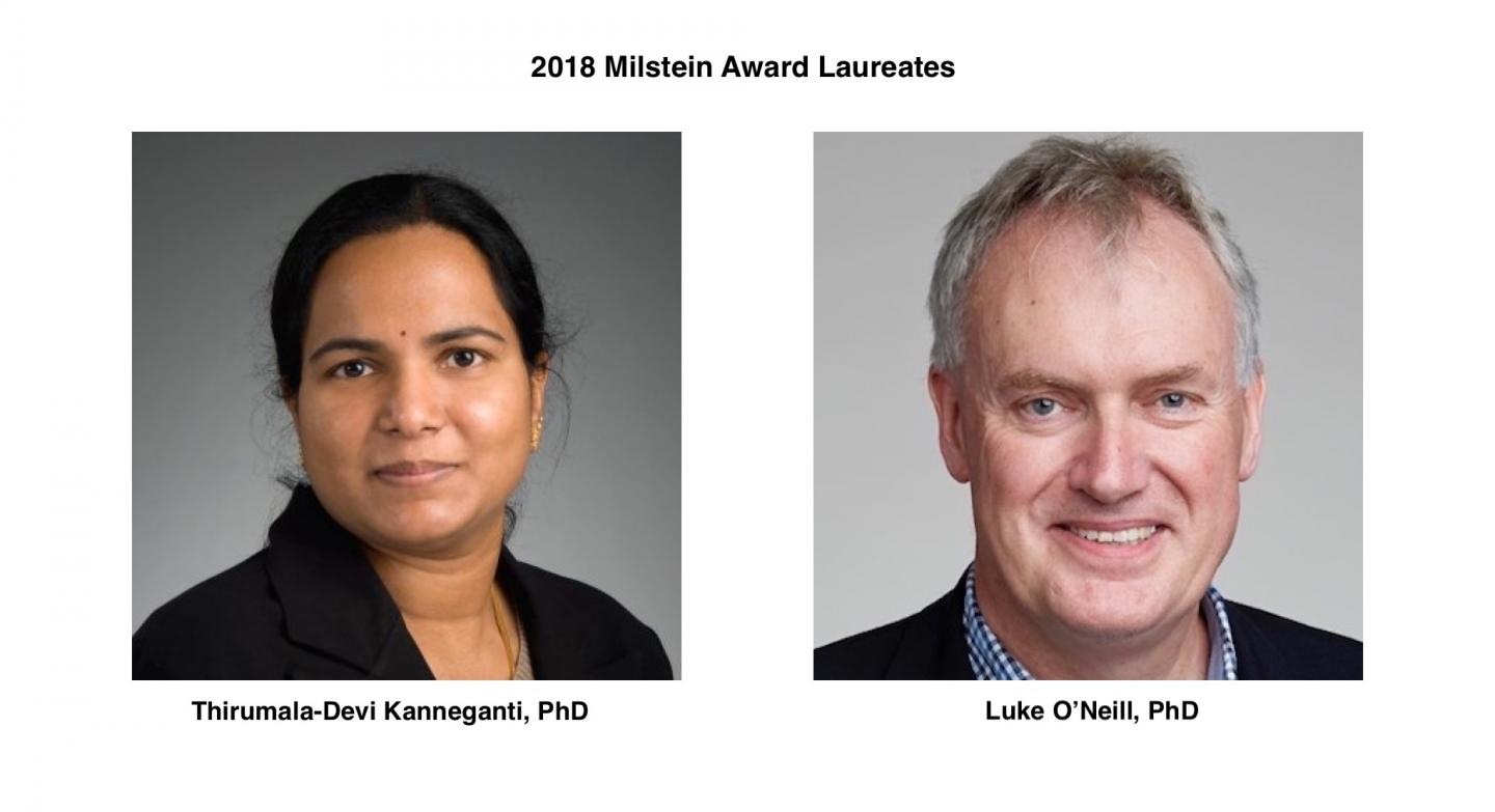 2018 Milstein Award Laureates