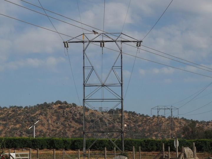 Birds and Electric Lines