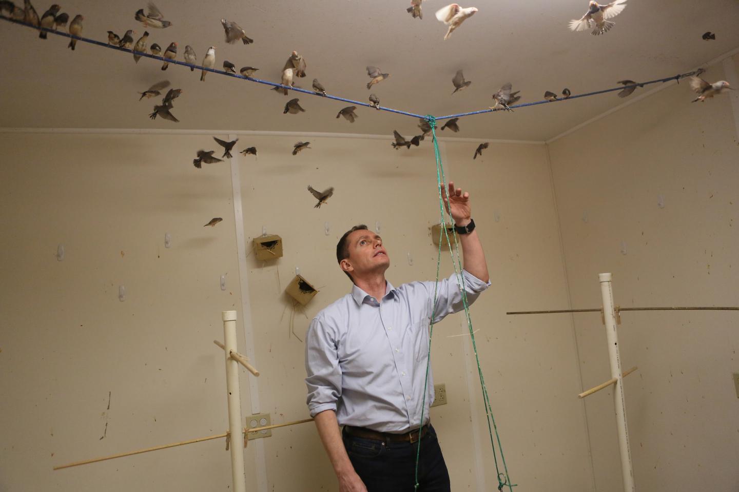 Bird Behavior [IMAGE] EurekAlert! Science News Releases