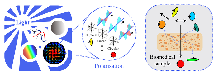 Polarisation property of the light, as well as its interaction with biomedical samples