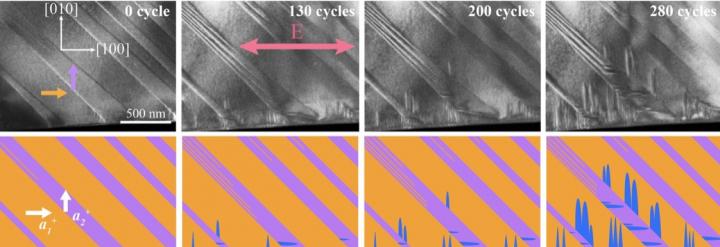 Electron microscope images