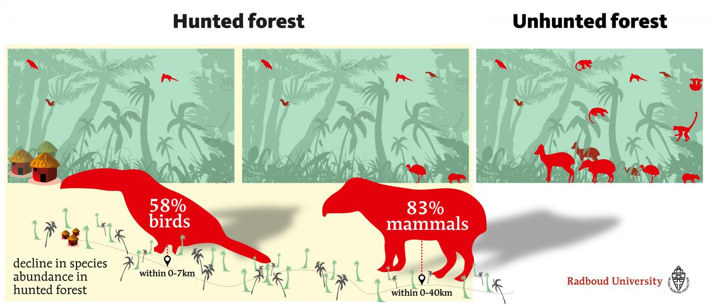 Hunting By Humans Significantly Reduces Bird EurekAlert!