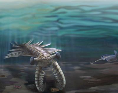 Marine Life During Cambrian Explosion