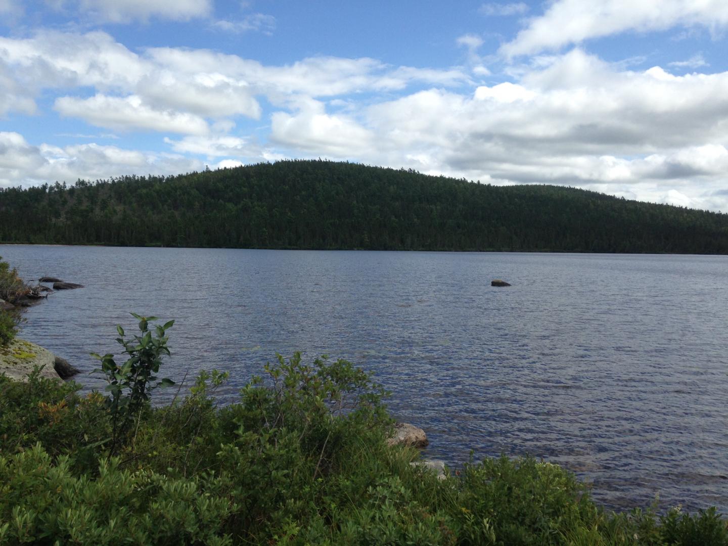 New Study Shows Legacy of DDT to Lake Ecosystems