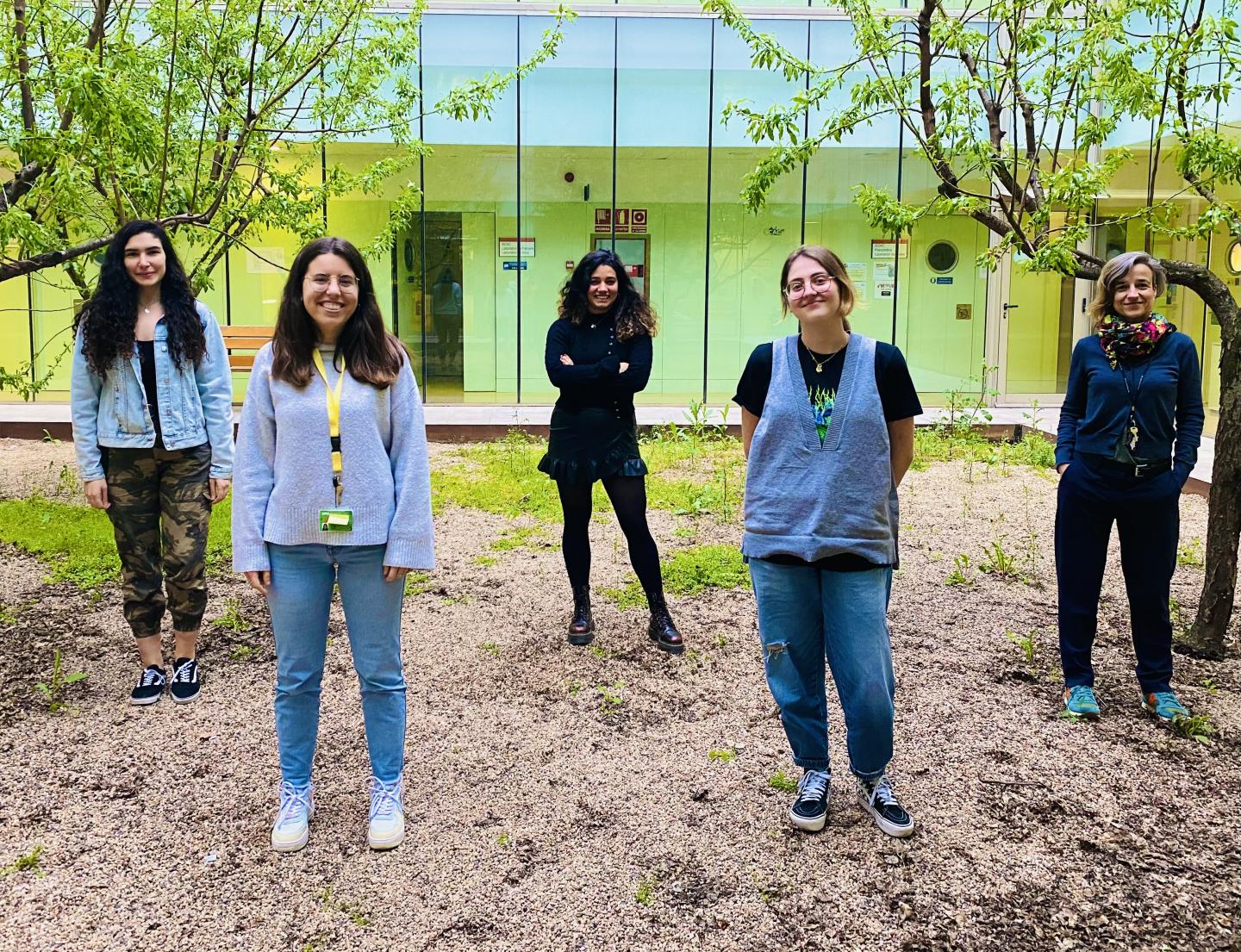 Alterations in the 3D genome structure and effects on fertility revealed