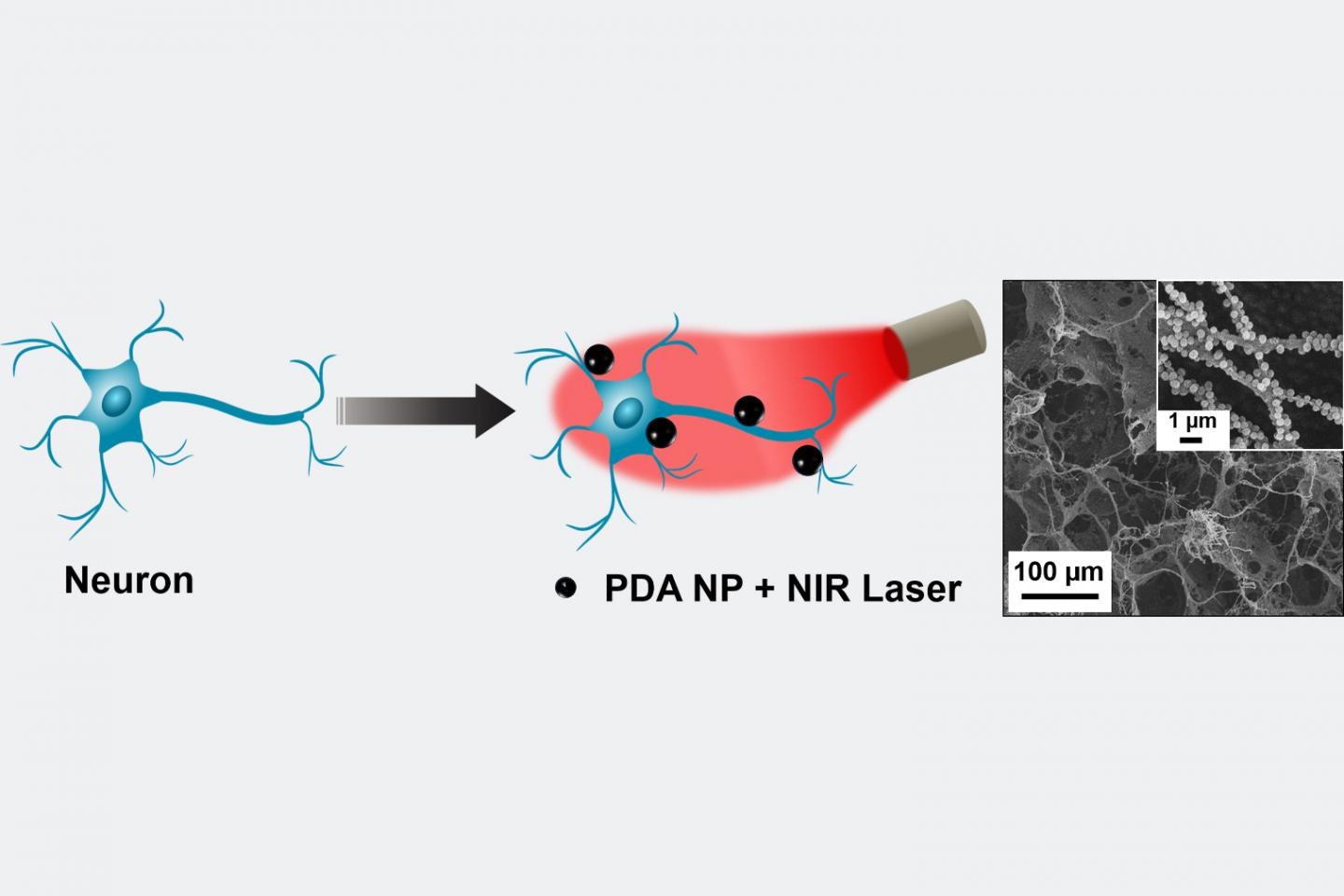 Photothermal stimulation of neurons