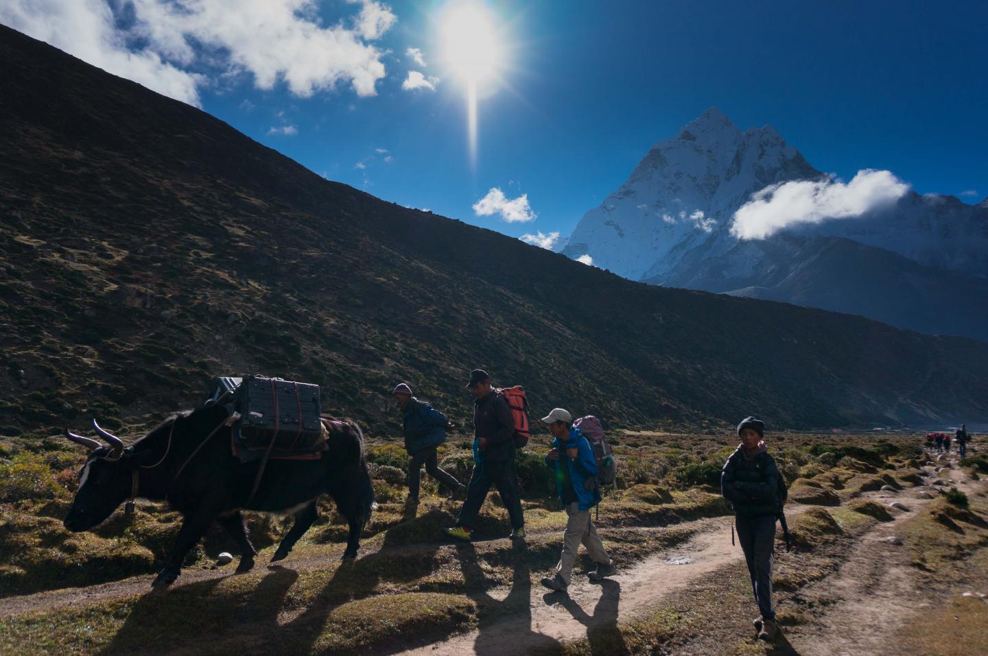 Yaks and their Headers