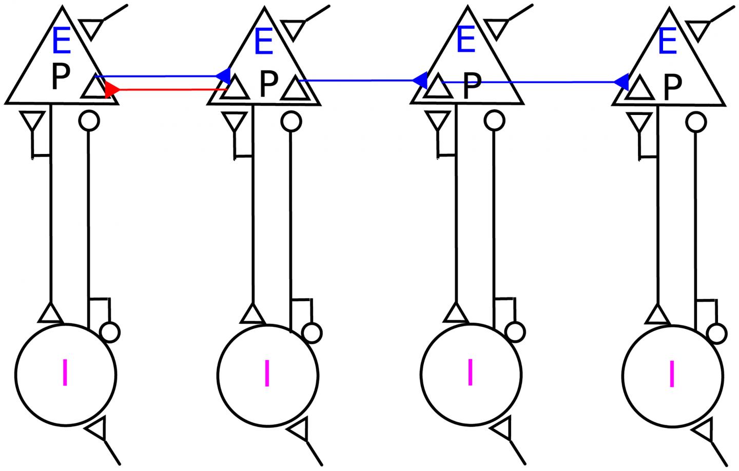 Loop, Resonate, and Accelerate!