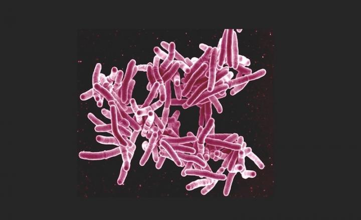 Boosting Host Immune Defenses to Treat Tuberculosis
