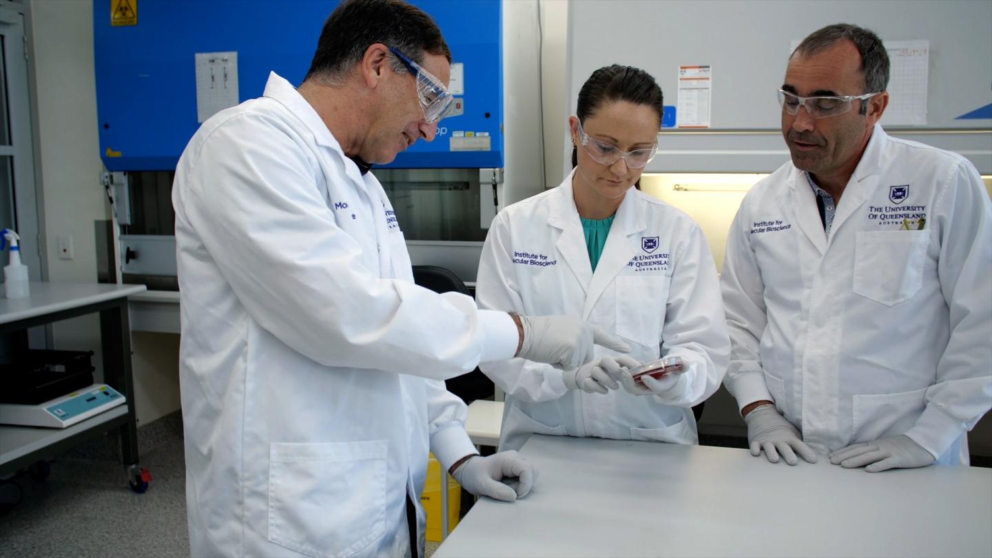 Researchers at IMB's Centre for Superbug Solutions, The University of Queensland