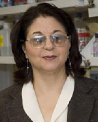 Sarah Spiegel, Ph.D., Virginia Commonwealth University