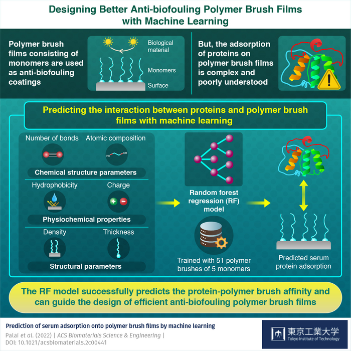 Designing Better Anti-biofouling Polymer Brush Films with Machine Learning
