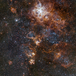 Tarantula Nebula