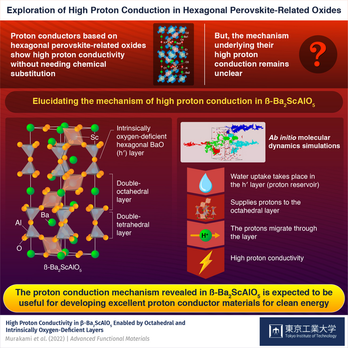 Exploration of High Proton Conduction in Hexagonal Perovskite-Related Oxides