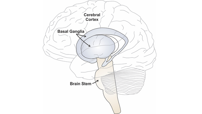 Neurocomputational modeling and stuttering