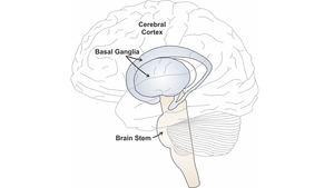 Neurocomputational modeling and stuttering