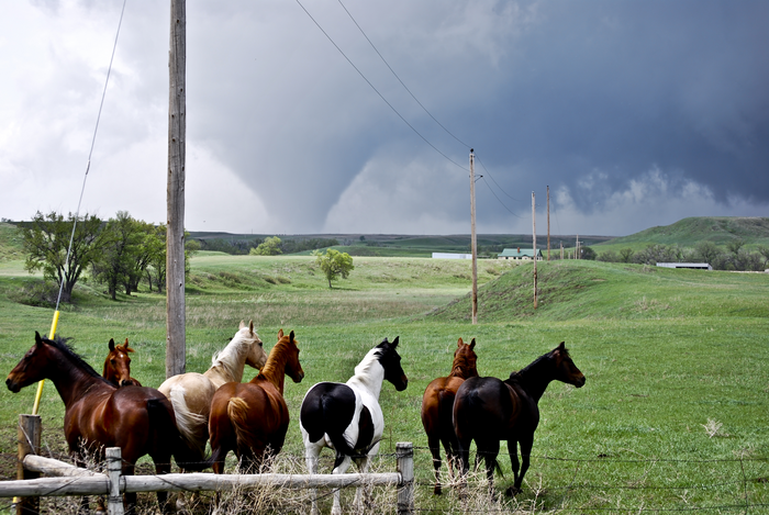 Long term temporal trends in synoptic-scale weather conditions favoring significant tornado occurrence over the central United States