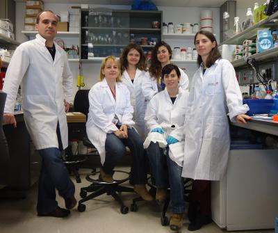 Cell-Cycle Research Group