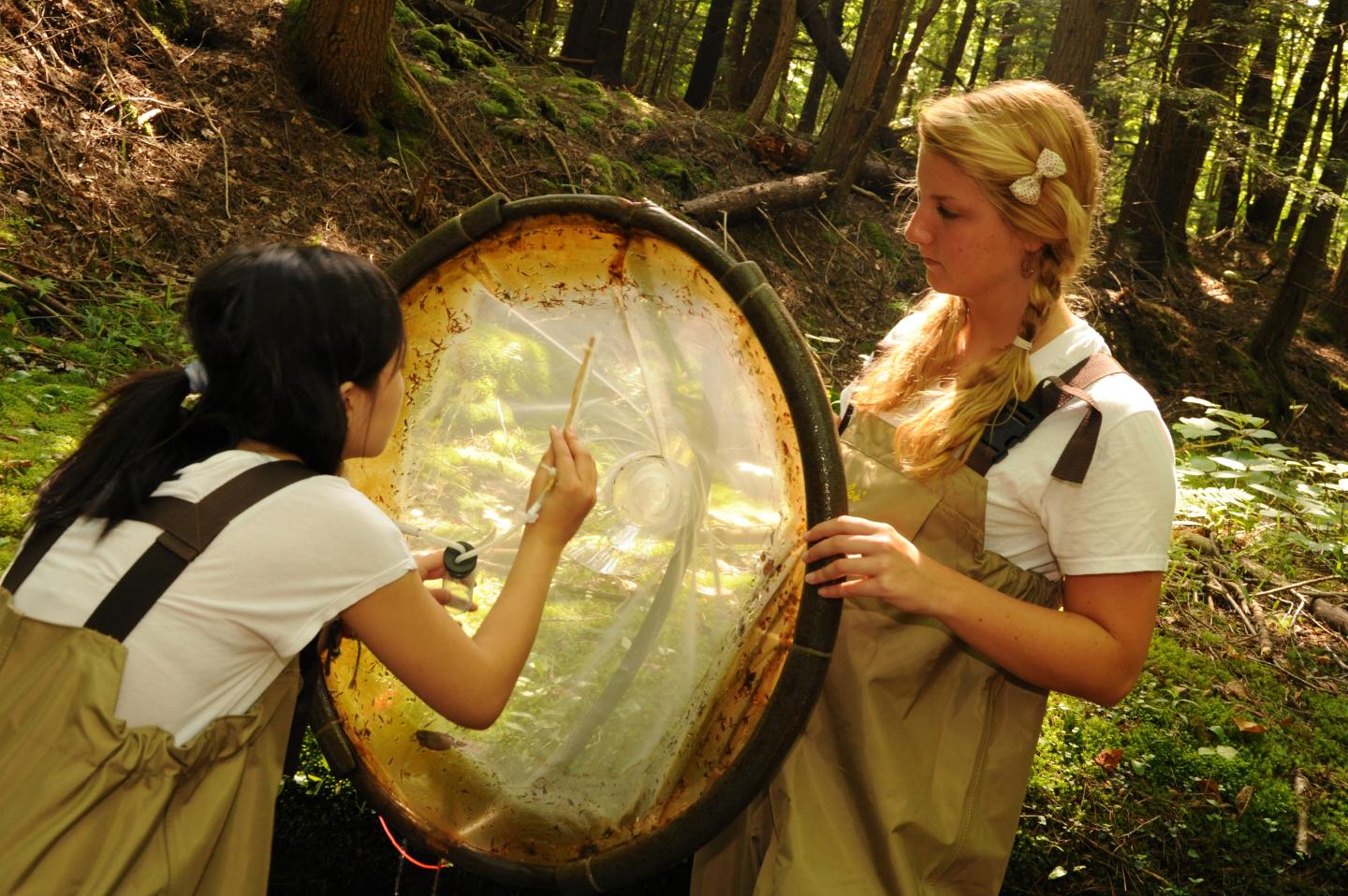 Dartmouth Merrcury Food Web Study (2 of 2)