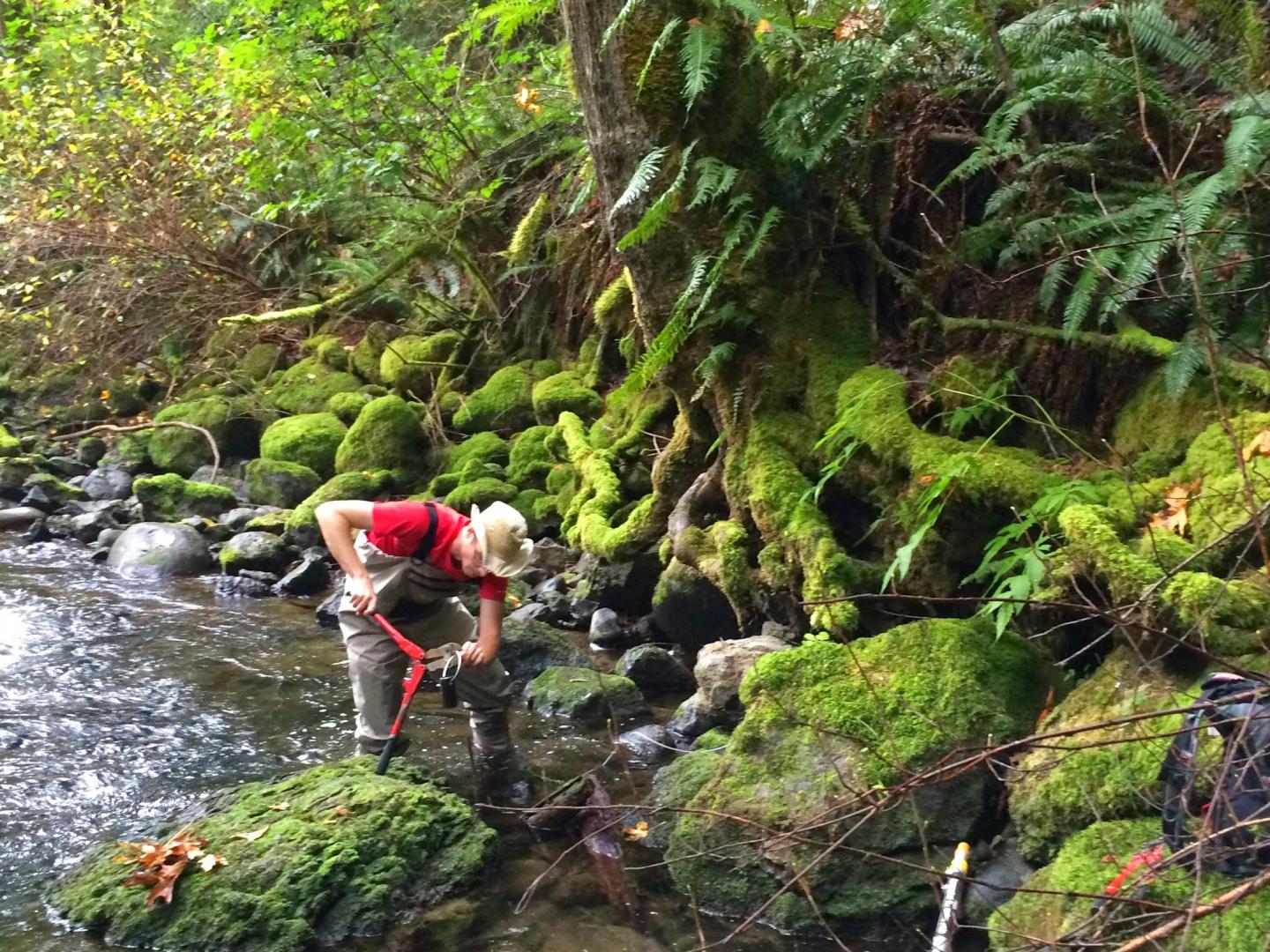 Temperature Sampling