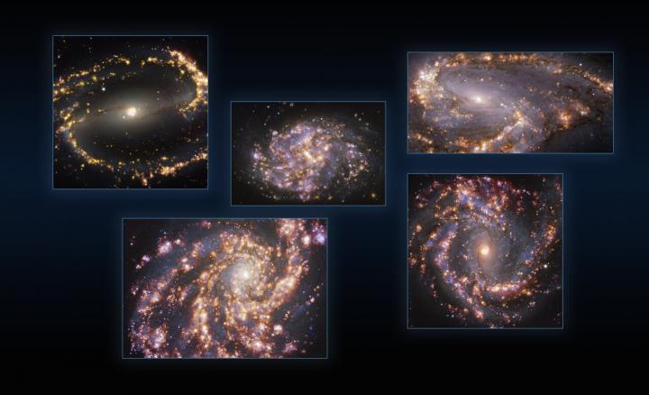 Five galaxies as seen with MUSE on ESO's VLT at several wavelengths of light