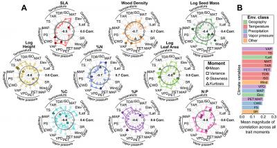 Relationships Between Traits and Environmental Variables Across All Forests