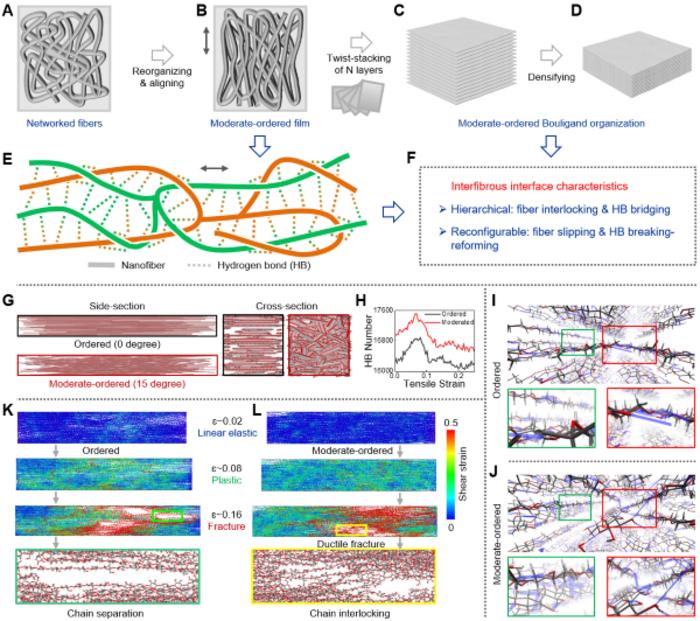 Hierarchical and reconfigurable interfibrous interface of bioinspired Bouligand structure enabled by moderate orderliness